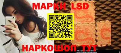 ПСИЛОЦИБИНОВЫЕ ГРИБЫ Кандалакша